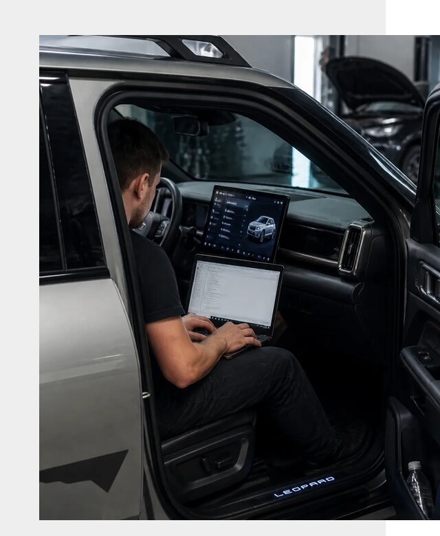 Русификация BYD Leopard 3 в Куйбышеве по цене от 20634 р. | ФастМобиль-Кбш